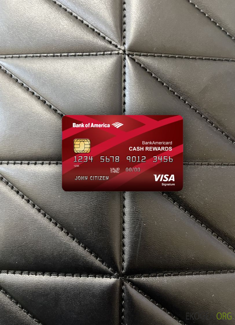 Photolook de la carte de signature Visa USA Bank of America , avant